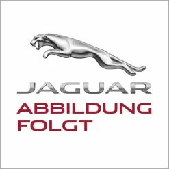 Jaguar Abnehmbare Anhängerkupplung - XF