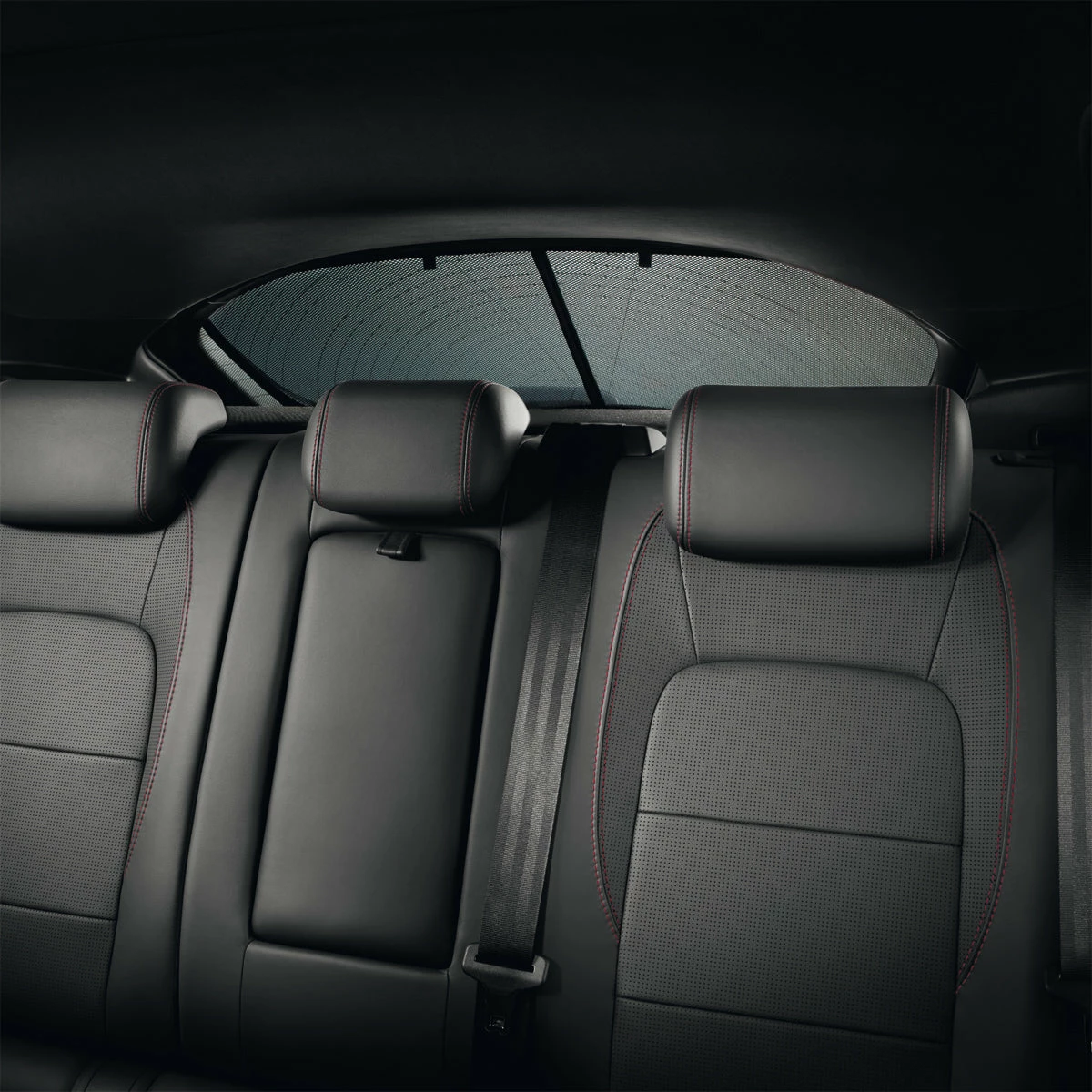 Jaguar Sonnenblenden 3 Jaguar Sonnenblenden