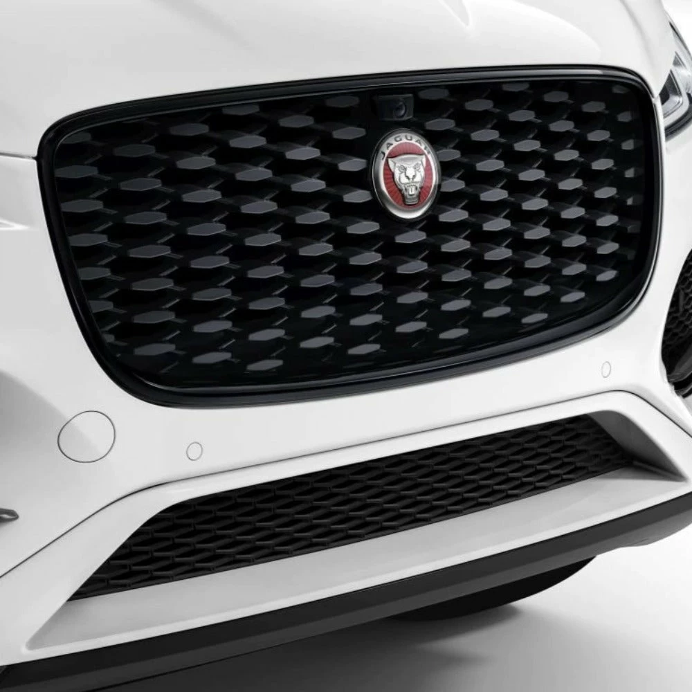 Jaguar Kühlergrilleinfassung - Schwarz Glänzend 4 Jaguar Kühlergrilleinfassung - Schwarz Glänzend – Bild 2