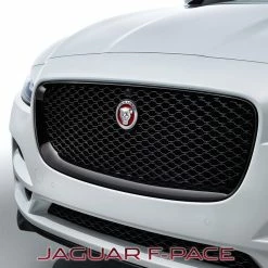 Jaguar Kühlergrilleinfassung - Schwarz Glänzend