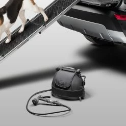 Tragbares Reinigungssystem